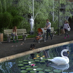 A walk in the park