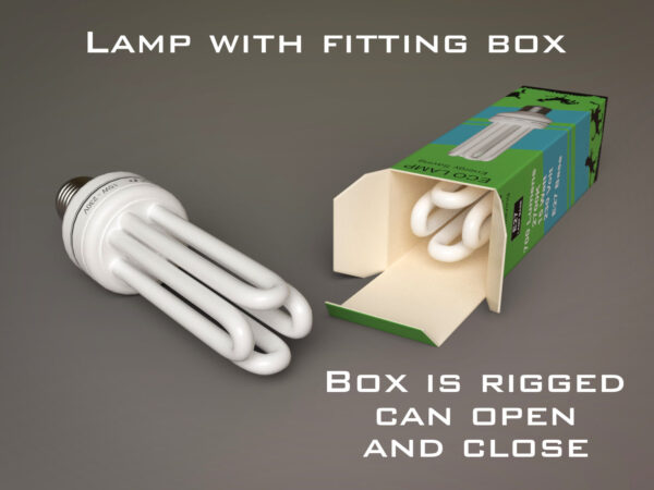 Fluorescent Lamp With Box - Image 2